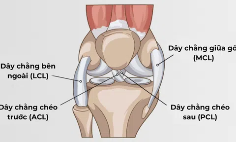 Chấn thương thường gặp ở đầu gối khi chơi thể thao