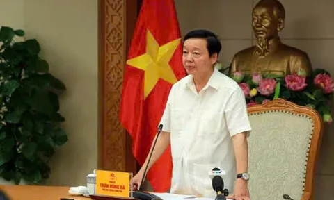 Siêu bão Ragasa: Việt Nam đối phó ra sao để hạn chế thiệt hại?