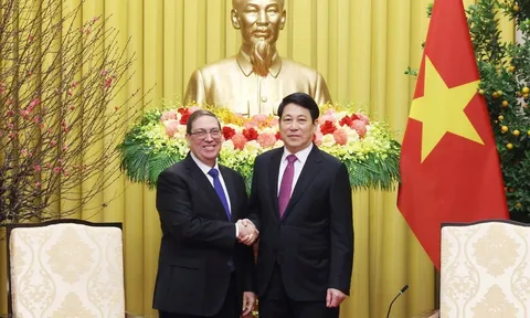 Chủ tịch nước Lương Cường: Việt Nam luôn sát cánh, sẵn sàng hỗ trợ Cuba trong khả năng của mình