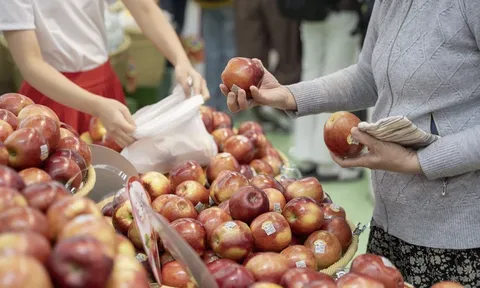 Hội đồng táo Washington: Việt Nam là thị trường xuất khẩu lớn thứ 5 của bang
