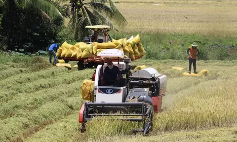 Bộ Nông nghiệp và Môi trường trả lời cử tri về giải pháp kiểm soát giá vật tư nông nghiệp