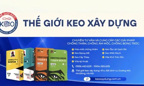 Vật liệu chống thấm cao cấp – Giải pháp bảo vệ công trình bền vững
