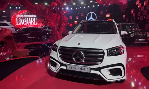 Thị trường xe sang lao dốc, nhà phân phối đứng ngồi không yên