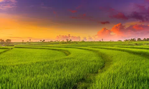 Nông nghiệp đô thị và những vấn đề đặt ra trên địa bàn thành phố Hà Nội (Kỳ 2)