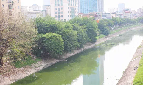 Nước sông Tô Lịch bỗng chuyển sang màu xanh lục