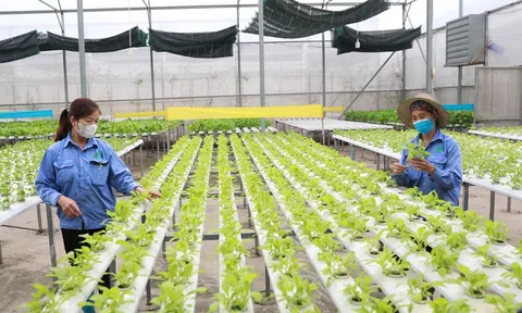 Số hóa thúc đẩy tăng trưởng nông nghiệp và môi trường