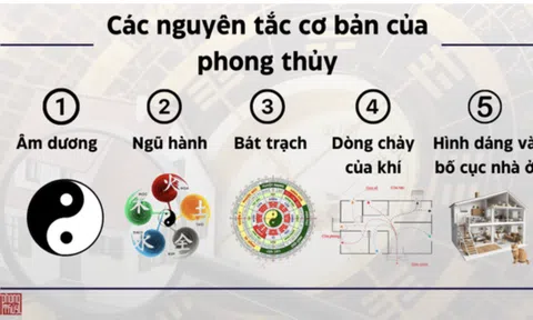 Khám phá nghệ thuật sống hài hòa chuẩn phong thủy