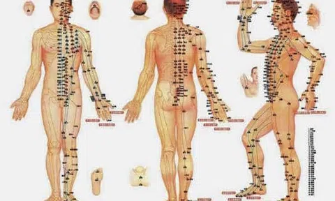 Thành công chữa trị của y học dân tộc