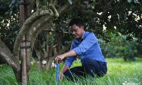 Ứng dụng công nghệ cao giúp nông dân thoát nghèo