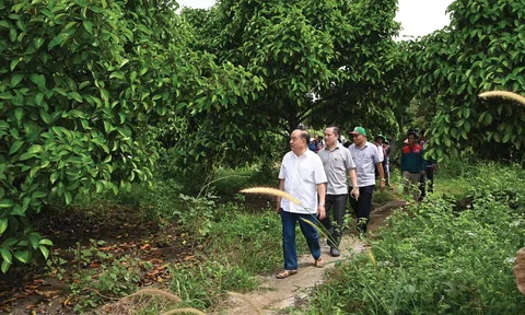Thủy chung với nông nghiệp Tuần Hoàn