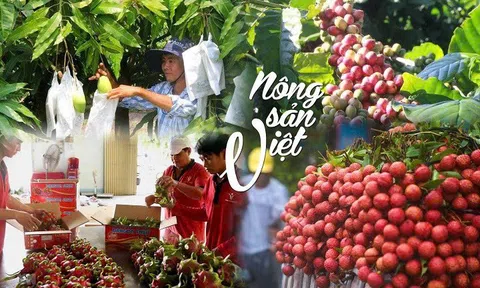 Mở rộng cửa ngõ: Nông sản Việt Nam và thị trường EU đầy tiềm năng