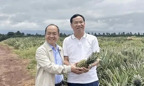 Làm nông nghiệp là yêu nước - Câu chuyện về hai con người tử tế trên miền đất đỏ bazan