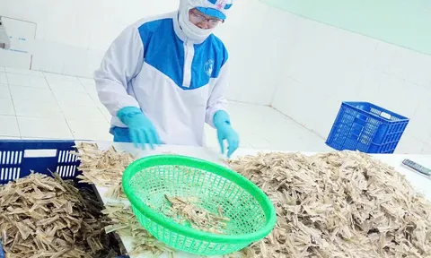Phế phụ phẩm thủy sản: Từ rác thải đến “vàng xanh”