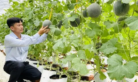 Xây dựng đội ngũ nông dân chuyên nghiệp trong thời đại kinh tế số