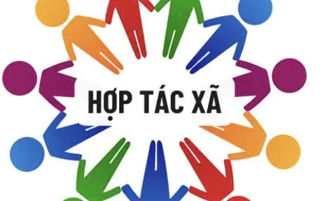 Phát triển thành viên chính thức: Nền tảng bền vững của hợp tác xã