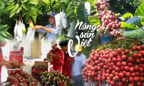 Nông sản Việt Nam: Mức tăng trưởng lịch sử gần 45 tỷ USD