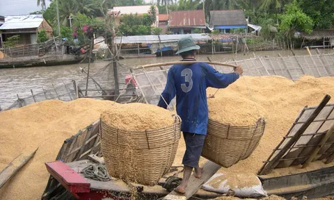 Phế phẩm nông nghiệp: Biến rác thải thành tài nguyên quý giá, mở lối kinh tế tuần hoàn