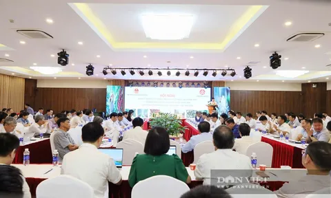 Chuyển đổi chiến lược: Nông nghiệp xanh, tuần hoàn là giải pháp "sống còn" cho nông sản Việt
