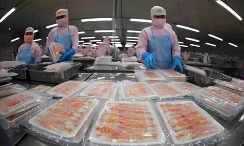 Đẩy mạnh xuất khẩu thủy sản nhờ đòn bẩy FTA và hỗ trợ từ nhà nước