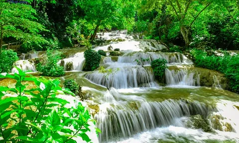 Đạo của nước: Trí tuệ tuyệt vời của sự mềm dẻo