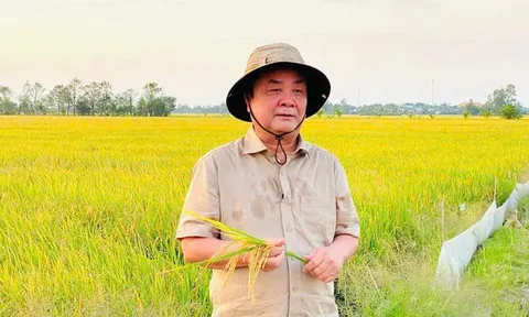 Khi tri thức trở lại ruộng đồng