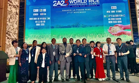 Việt Nam lần thứ ba đăng quang: Gạo Ông Cua ST25 giành giải “Gạo ngon nhất thế giới” năm 2025