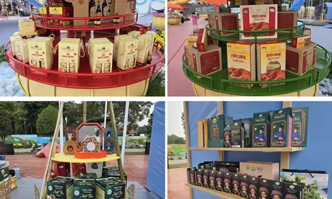 Festival OCOP Việt Nam 2025: Hội tụ tinh hoa, lan tỏa giá trị hàng Việt