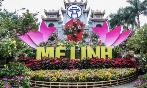 Từ làng nghề đến thị trường quốc tế: Bài toán thiết kế sáng tạo cho sản phẩm OCOP Việt Nam