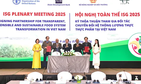 Thúc đẩy chuyển đổi hệ thống lương thực thực phẩm theo hướng xanh và bền vững: Tầm nhìn chiến lược và hành động của Việt Nam đến năm 2030