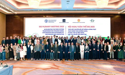 Việt Nam thiết lập đối tác chiến lược: Quyết tâm chuyển đổi Hệ thống LTTP toàn diện