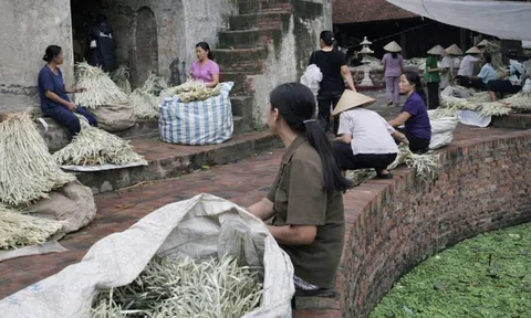 OCOP gắn với du lịch trải nghiệm: Hướng đi mới của làng nghề Hà Nội