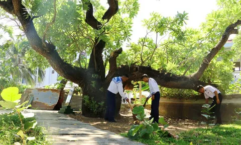 Diện mạo nông thôn mới trên biển