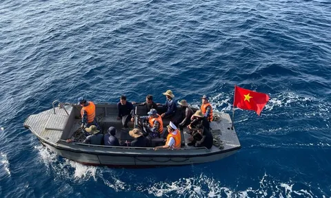 Ngư dân Lý Sơn bầu cử sớm trên biển