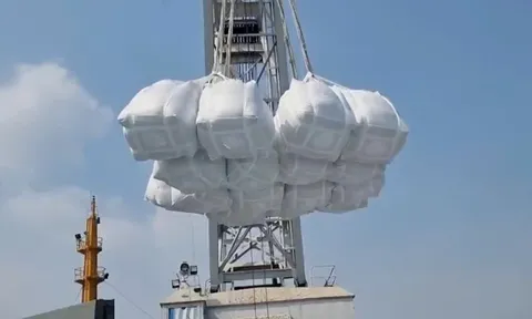 Gạo Việt sang Nhật: Từ cơ hội thiếu hụt đến chiến lược chiếm lĩnh thị trường bền vững