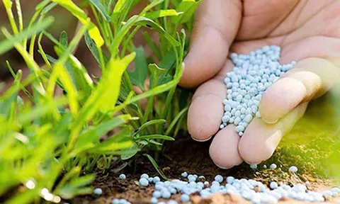 Chiến lược quản lý vật tư nông nghiệp: Hướng tới nền nông nghiệp sinh thái và trách nhiệm quốc gia