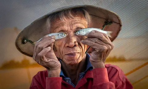 "Mắt cá" Hội An và câu chuyện về sự tự tại của con người Việt Nam