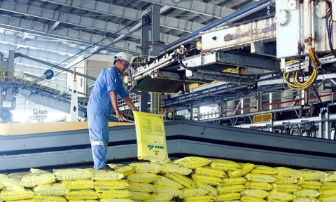 An ninh phân bón: Từ áp lực chi phí đầu vào đến chiến lược tự chủ sản xuất nông nghiệp