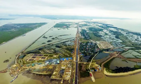 Chum mắm chờ cá: Nỗi trăn trở ở Đặc khu Cát Hải