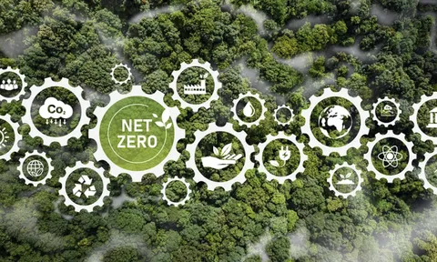 Tín chỉ carbon và cơ chế thị trường trong mục tiêu Net Zero của Hà Nội