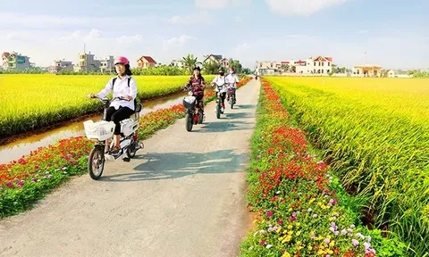 Tiến trình đổi mới quy định công nhận nông thôn mới: Bước chuyển chiến lược hướng tới chiều sâu và tính bền vững