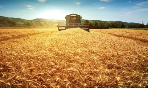 Nga phát minh đột phá trong lĩnh vực giảm phát thải nông nghiệp, củng cố vị thế "số 1 thế giới"