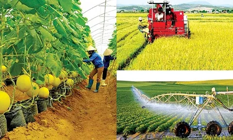 Kinh nghiệm quốc tế về phát triển chuỗi giá trị nông nghiệp bền vững tại Việt Nam và khuyến nghị chính sách