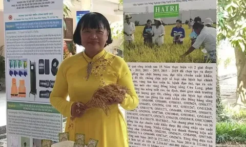 GS.TS Nguyễn Thị Lang: Người 'đánh thức' gen lúa hoang, nâng tầm gạo Việt