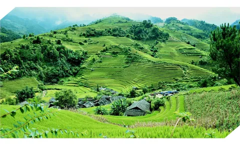 Các loại hình sở hữu đất đai trên thế giới: Cơ sở lý luận, kinh nghiệm quốc tế và hàm ý chính sách cho Việt Nam