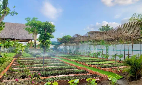 Từ mảnh đất quanh nhà đến không gian giá trị của thời đại