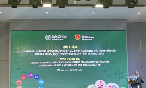 Gợi ý các ưu tiên về đất và nước trong chuyển đổi hệ thống lương thực, thực phẩm của Việt Nam theo FAO Roadmap
