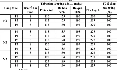 Ảnh hưởng của khoảng cách và liều lượng phân bón đến sinh trưởng, phát triển, năng suất và chất lượng của cây ké đầu ngựa (Xanthium strumarium L.) tại Hà Nội
