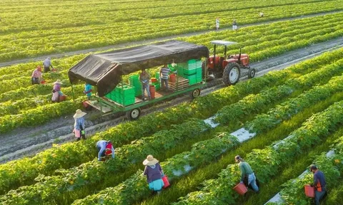 Công tác lãnh đạo, chỉ đạo và tổ chức thực hiện các chủ trương về phát triển nông nghiệp sinh thái, xanh, tuần hoàn