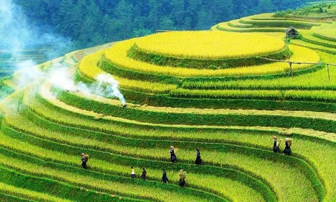 Định hướng của Đảng và Nhà nước Việt Nam về phát triển nông nghiệp sinh thái, xanh, tuần hoàn gắn với bảo vệ môi trường, thích ứng với biến đổi khí hậu và phát triển nông thôn bền vững
