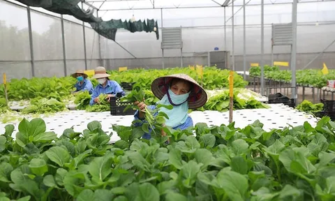 Phát triển nông nghiệp sinh thái, xanh, tuần hoàn gắn với bảo vệ môi trường, thích ứng với biến đổi khí hậu và phát triển nông thôn bền vững
